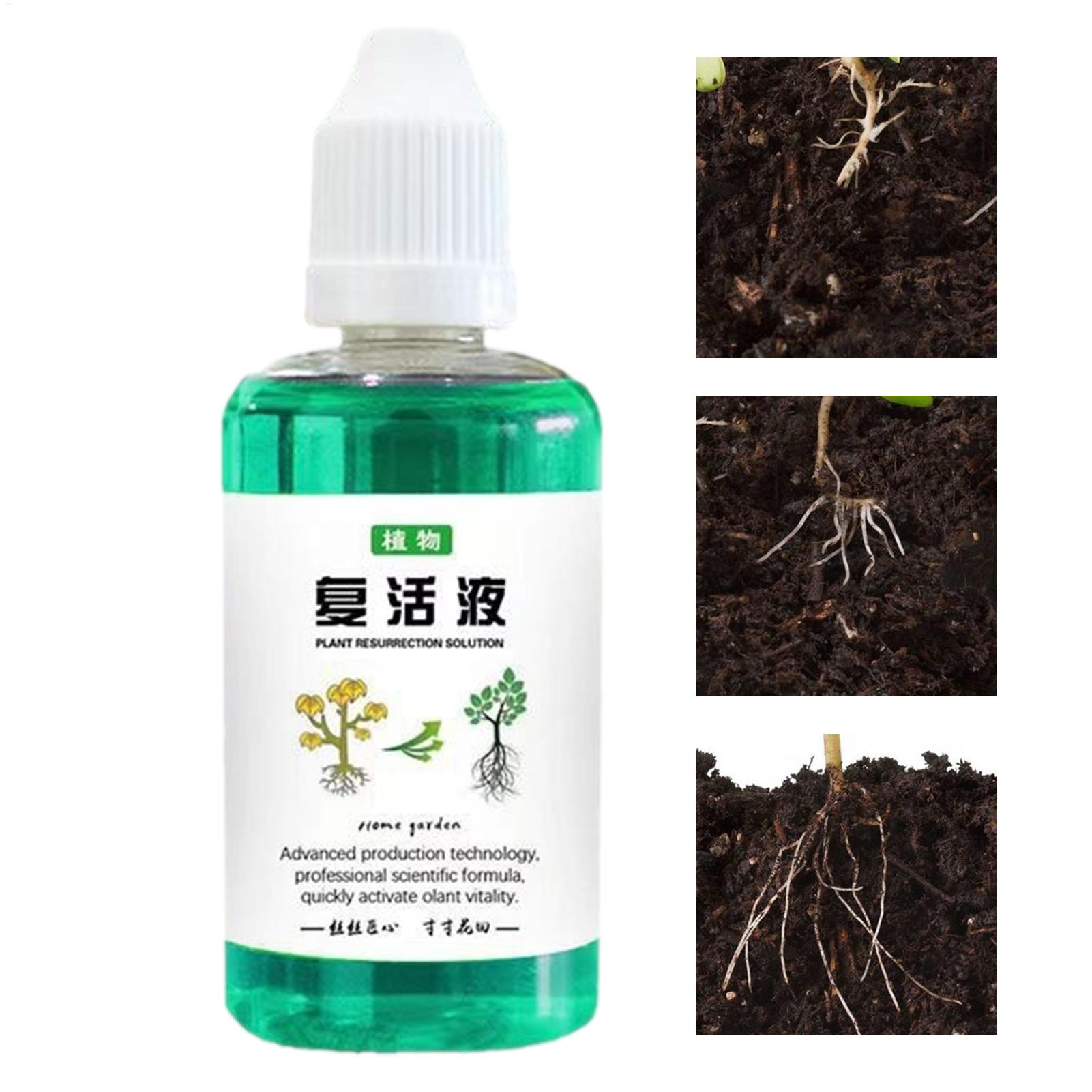 Root Stimulator Liquid - Stimolatore di Radici 50ml, Liquido per