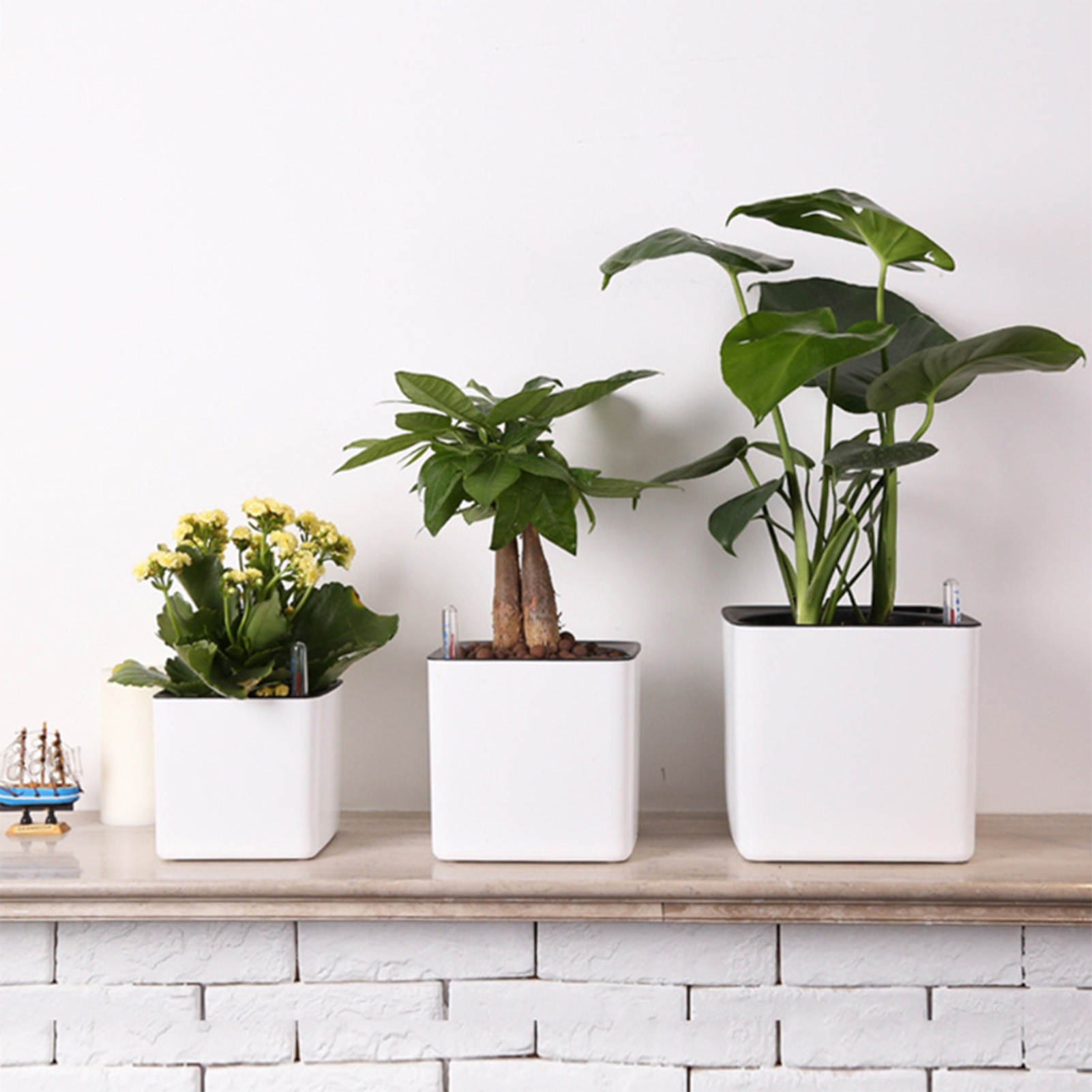 Self Watering Insert - Vaso da fiori pigro di 3