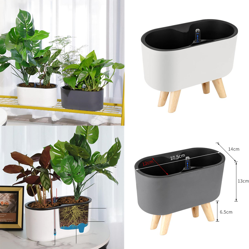 Self Watering Insert - Pianta da interno con indicatore gambe