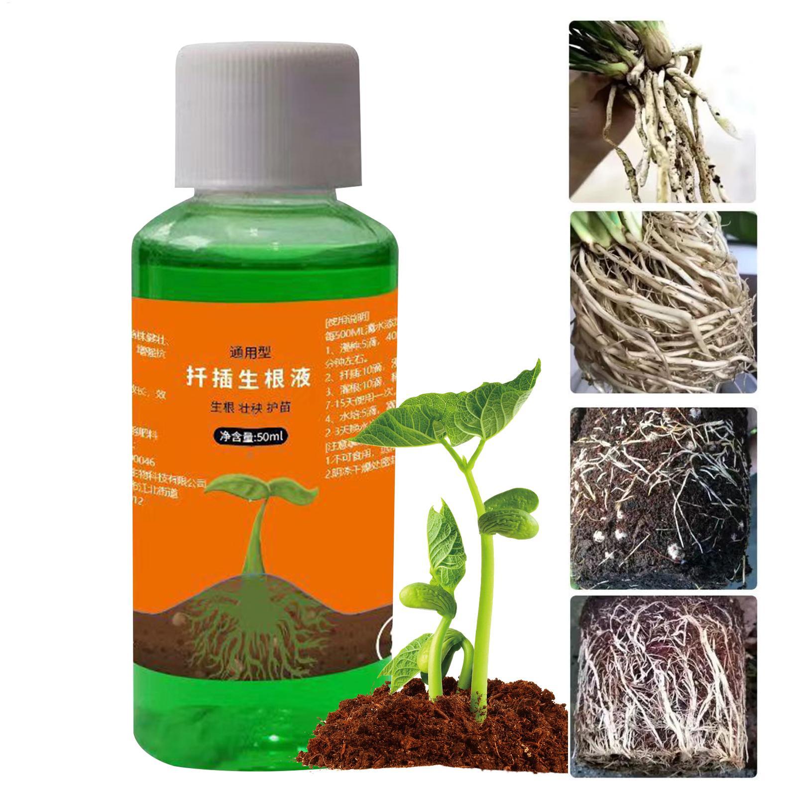 Root Stimulator Liquid - Soluzione nutritiva da 50 ml per