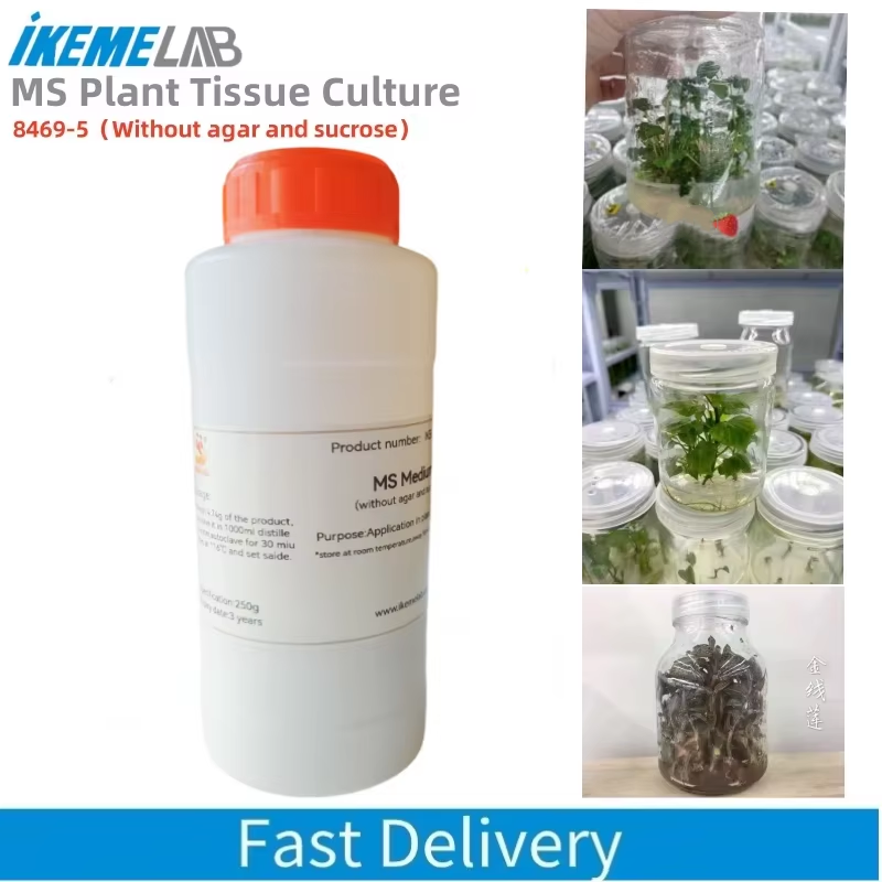 IKEME Laboratorio da 250 g MS  - Agar Tissue Culture recensione e prezzo