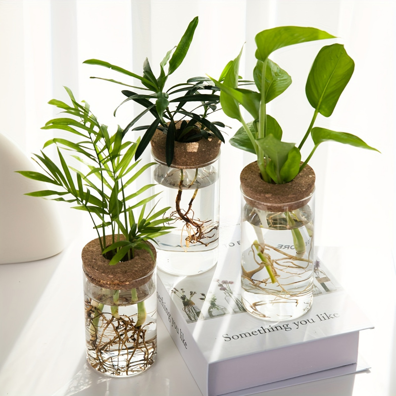 1 pz, piante idroponiche vaso  - Propagation Station Vase recensione e prezzo