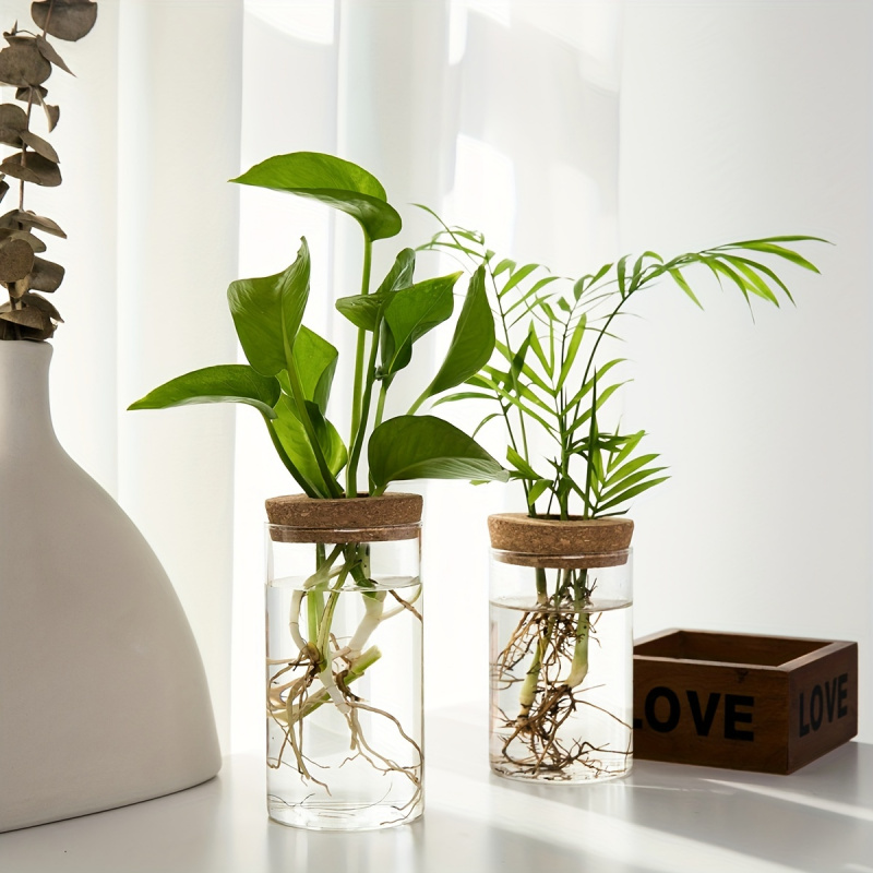 1 pz, piante idroponiche vaso  - Propagation Station Vase recensione e prezzo