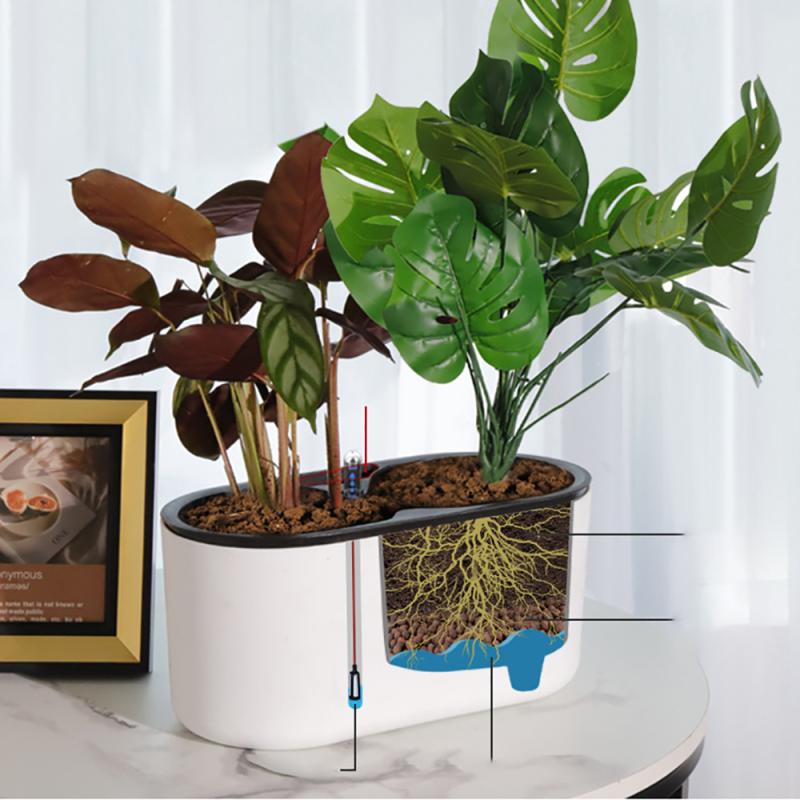 Pianta da interno con indicato - Self Watering Insert recensione e prezzo