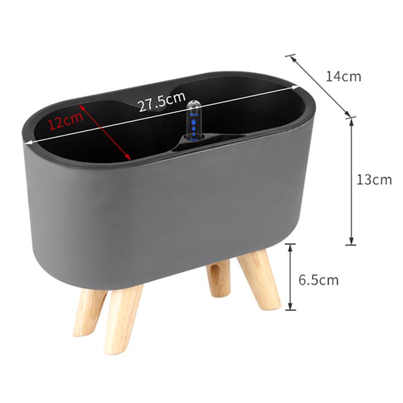 Pianta da interno con indicato - Self Watering Insert recensione e prezzo