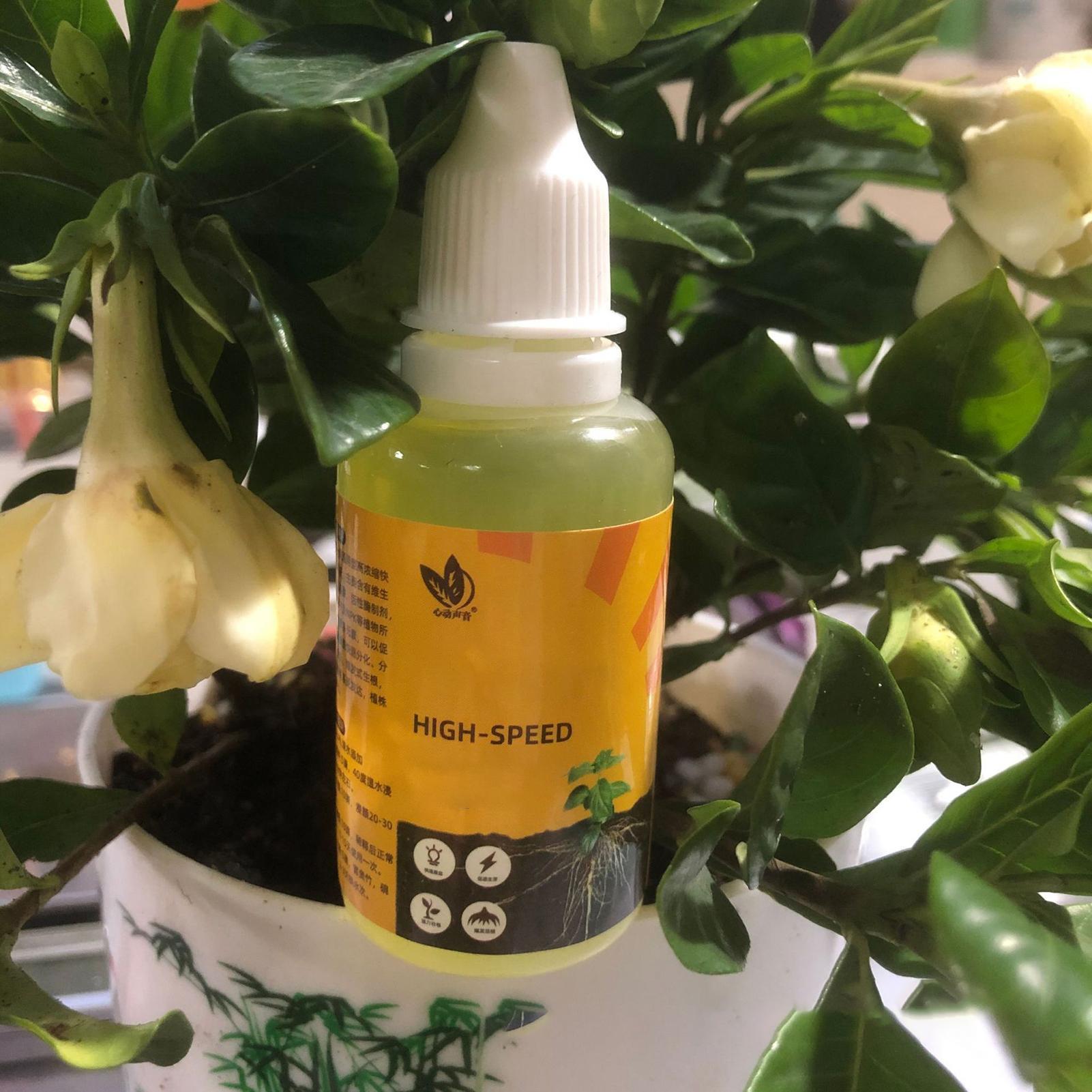 Stimolatore dell' radicazione  - Root Stimulator Liquid recensione e prezzo