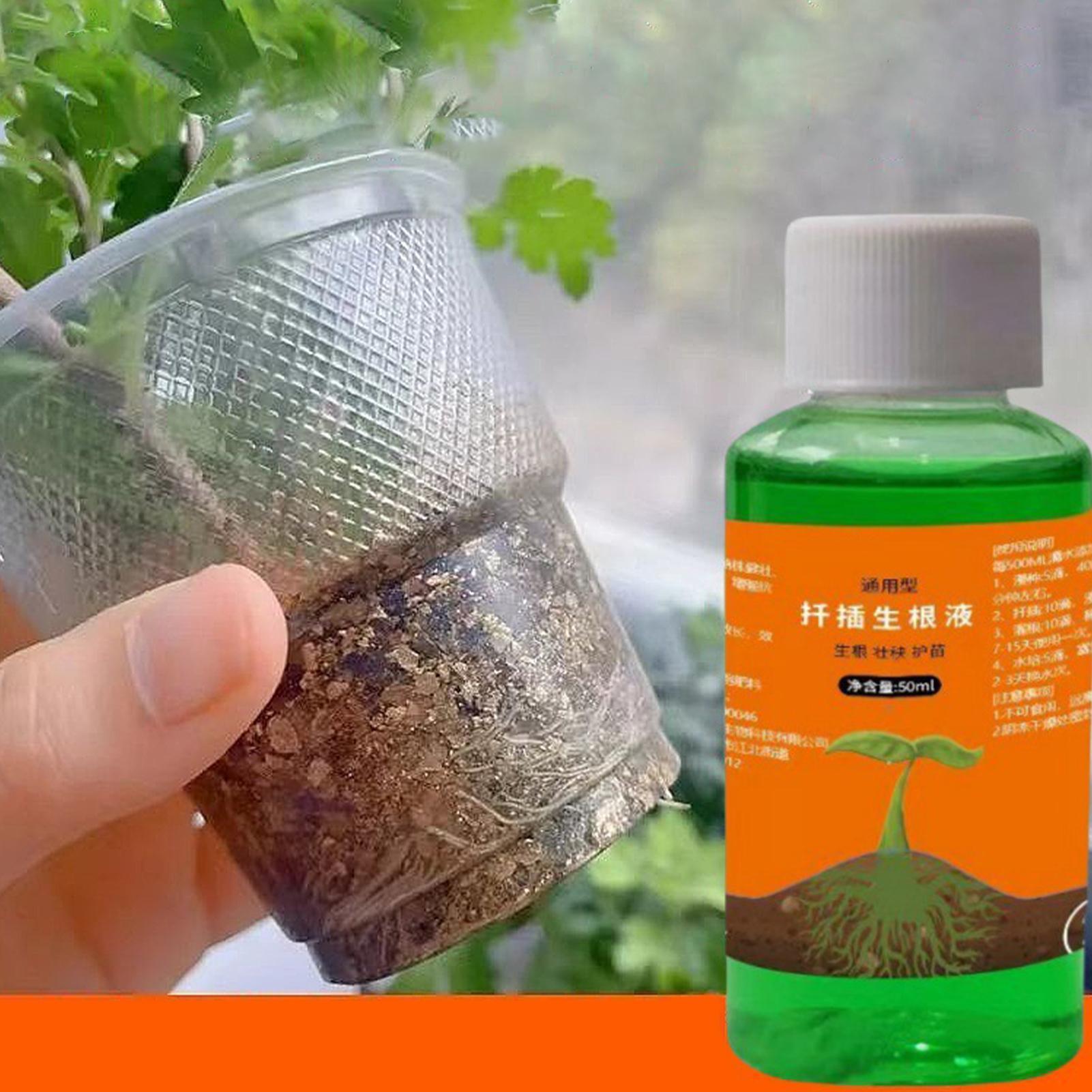 Soluzione nutritiva da 50 ml p - Root Stimulator Liquid recensione e prezzo