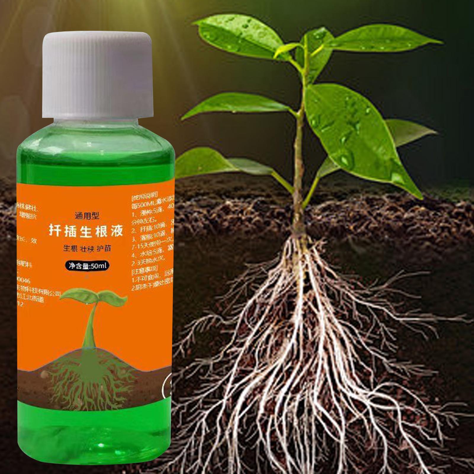 Soluzione nutritiva da 50 ml p - Root Stimulator Liquid recensione e prezzo