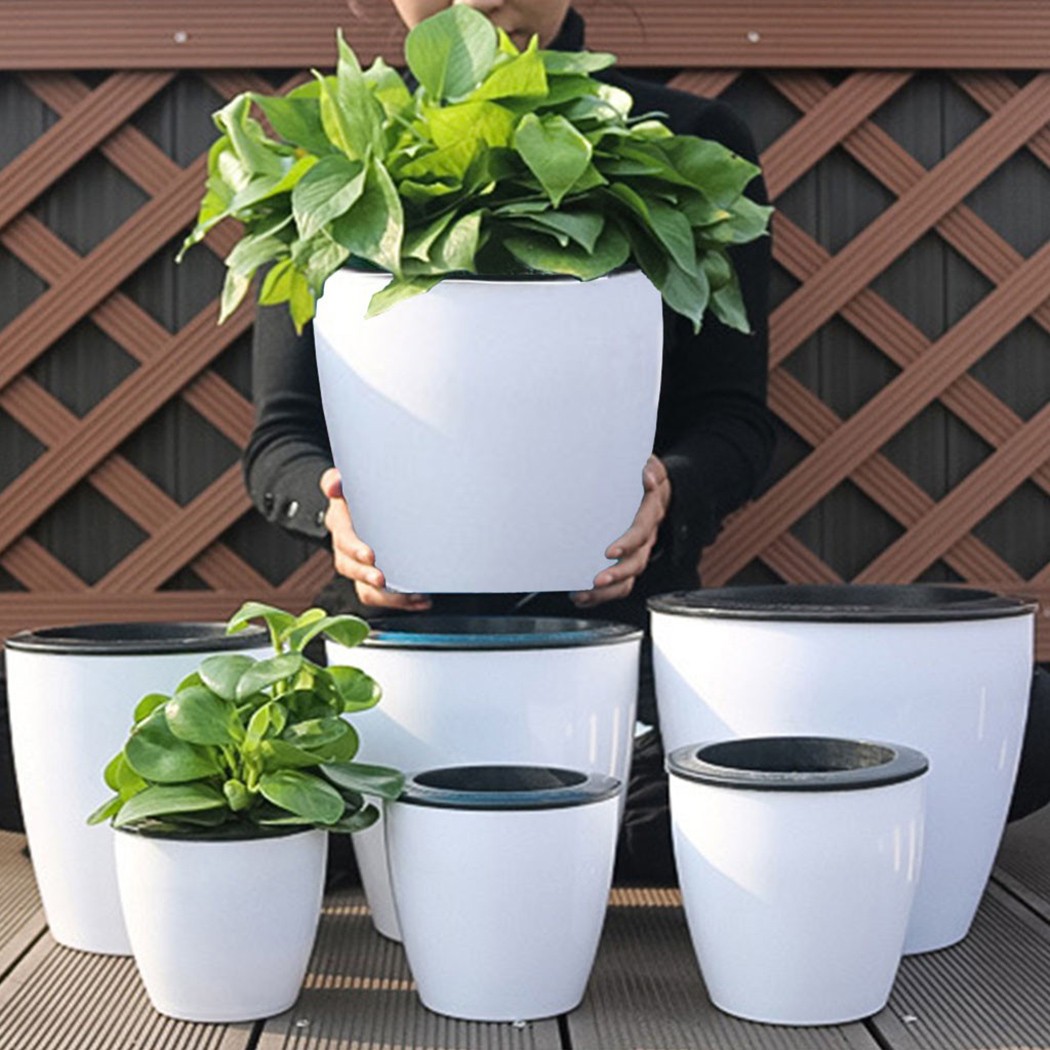 Irrigazione automatica piante  - Self Watering Insert recensione e prezzo