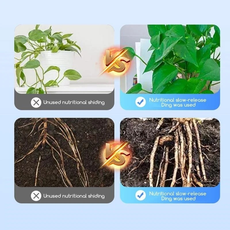 500g Polvere di ormone radicol - Rooting Hormone Powder recensione e prezzo