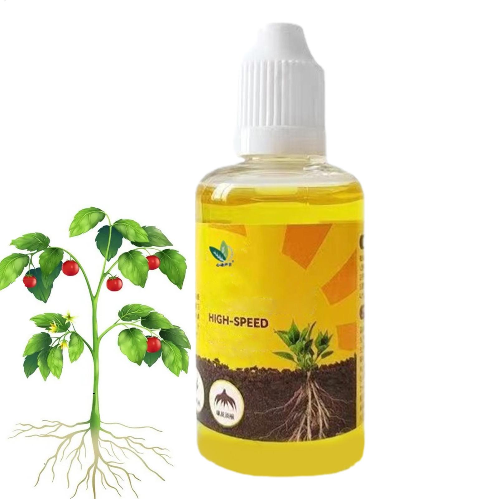 Soluzione nutriente per piante - Root Stimulator Liquid recensione e prezzo
