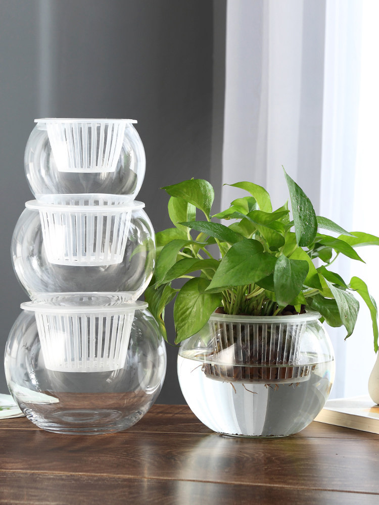 Vaso in vetro idroponico per a - Propagation Station Vase recensione e prezzo