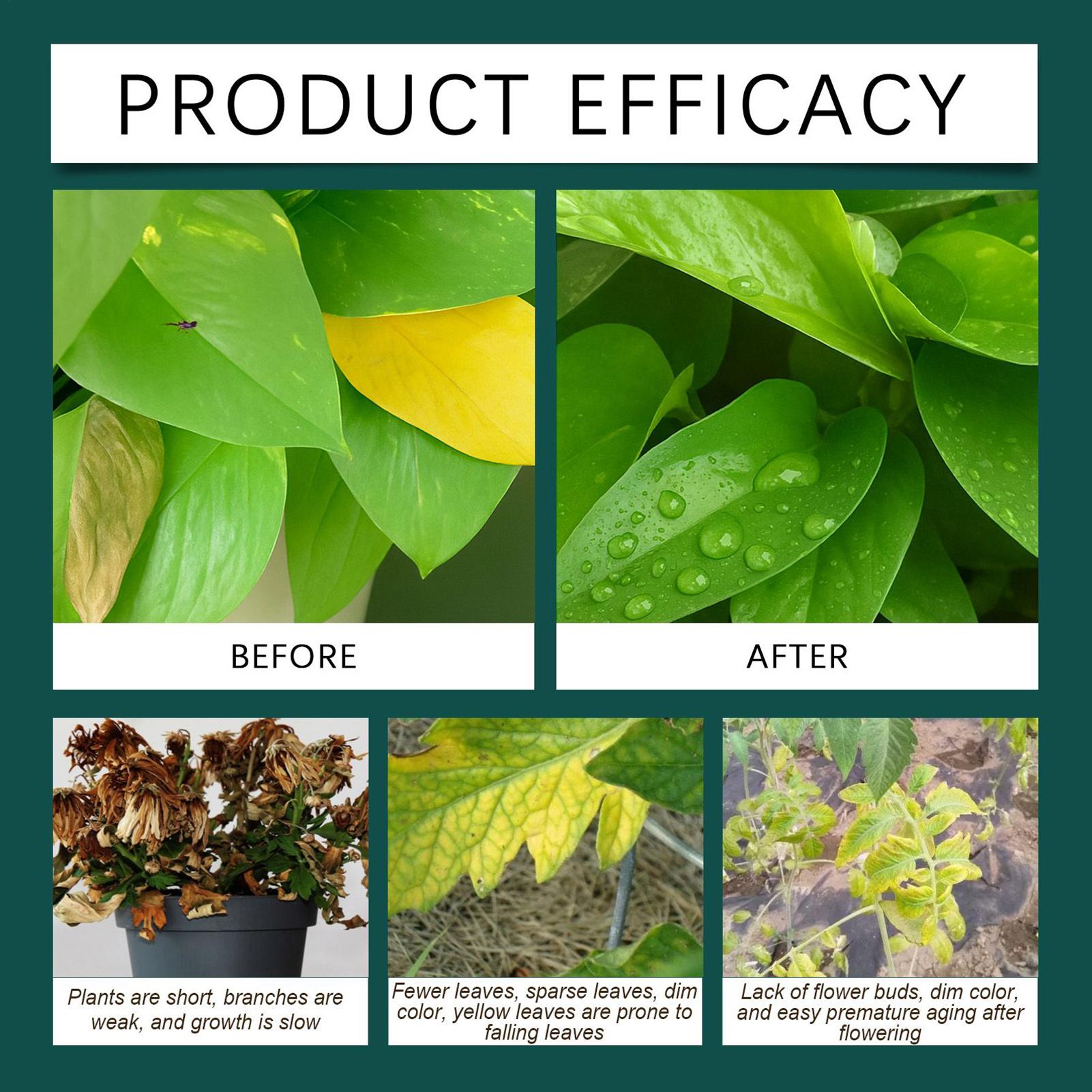 Gocce liquide per l'innesto de - Root Stimulator Liquid recensione e prezzo